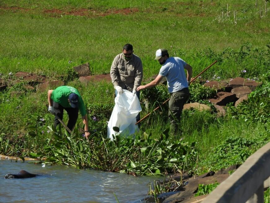 Municipales realizarán este sábado trabajos de limpieza en la bahía "El Brete" de Posadas 1 2 - Extraccion de basura 2 - 1