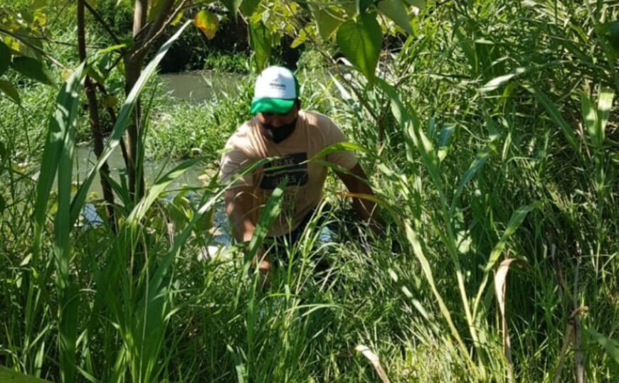 Posadas: especialistas realizaron un monitoreo ambiental en el arroyo Mártires para verificar su estado 3 6 - Monitoreo ambiental 1 1 - 5