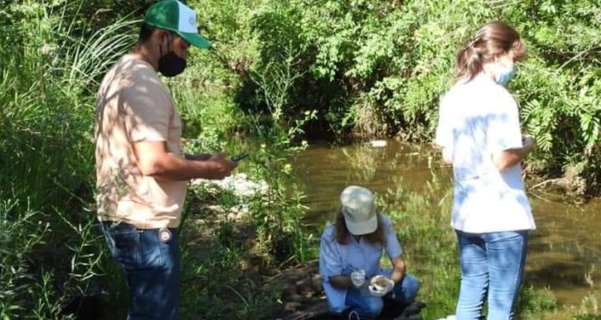 Posadas: especialistas realizaron un monitoreo ambiental en el arroyo Mártires para verificar su estado 2 4 - Monitoro ambiental 2 - 3