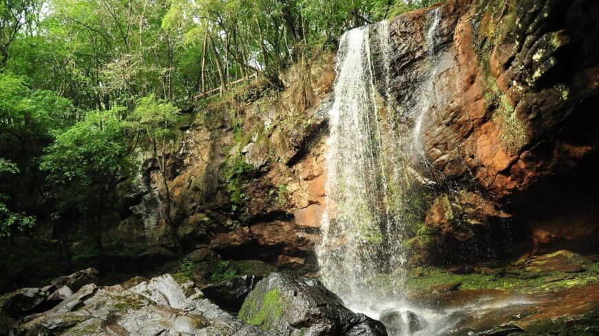 Oberá fue una de las ciudades más visitadas en verano, con una ocupación del 90% en cabañas