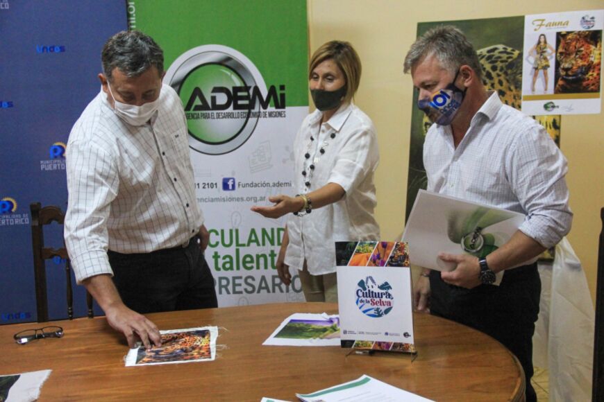 Puerto Rico lanzó la convocatoria provincial “Cultura de la Selva” para artistas plásticos