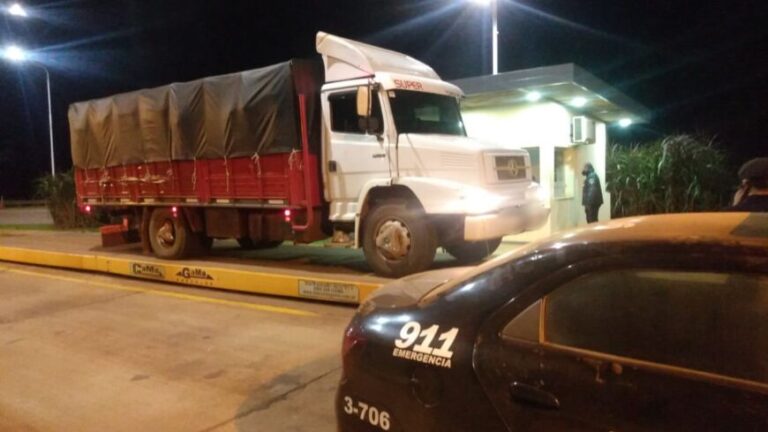Durante un operativo rural, retuvieron otro camión que transportaba soja ilegal