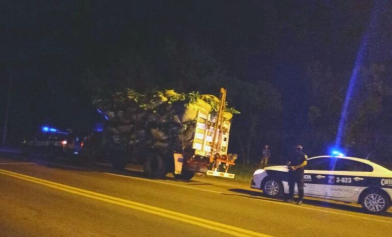 Montecarlo: retuvieron un camión que transportaba 8 toneladas de yerba sin aval y presuntamente robadas