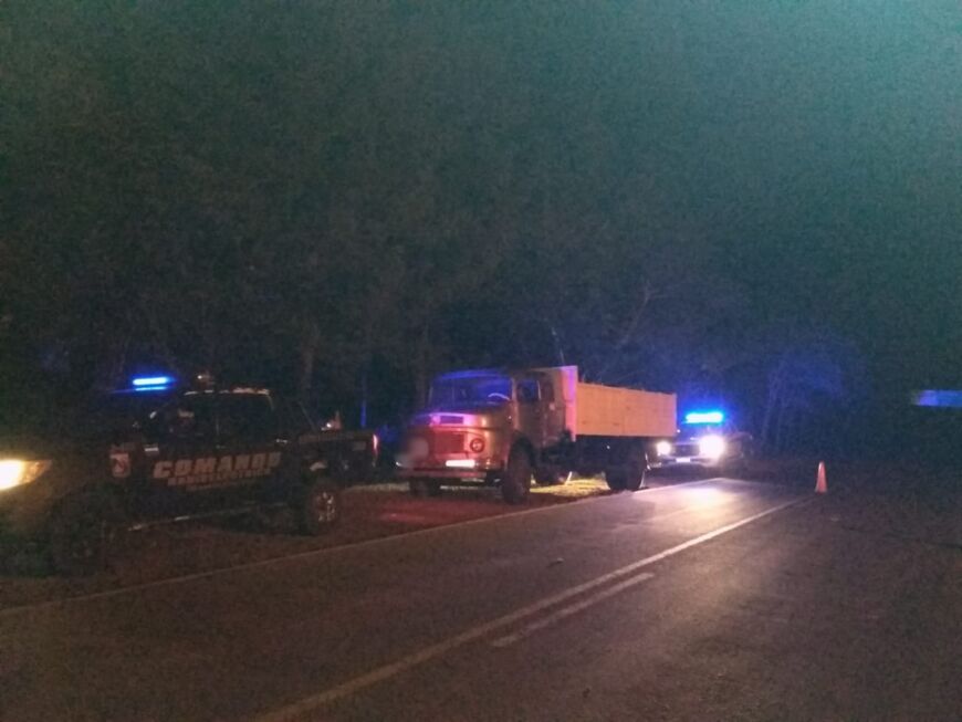 Detectaron otro camión que llevaba una carga ilegal de soja en Alba Posse