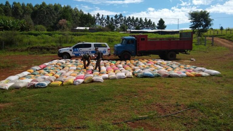El Soberbio: incautaron casi 11 toneladas de cereales