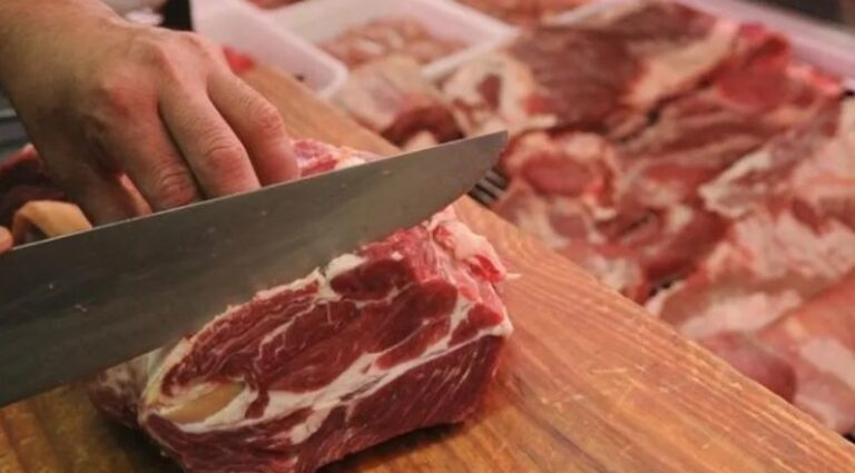 Cuántos kilos de carne se pueden comprar con un salario promedio en Argentina