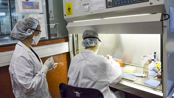 Murieron 113 personas y 8.160 fueron diagnosticadas con coronavirus en el país