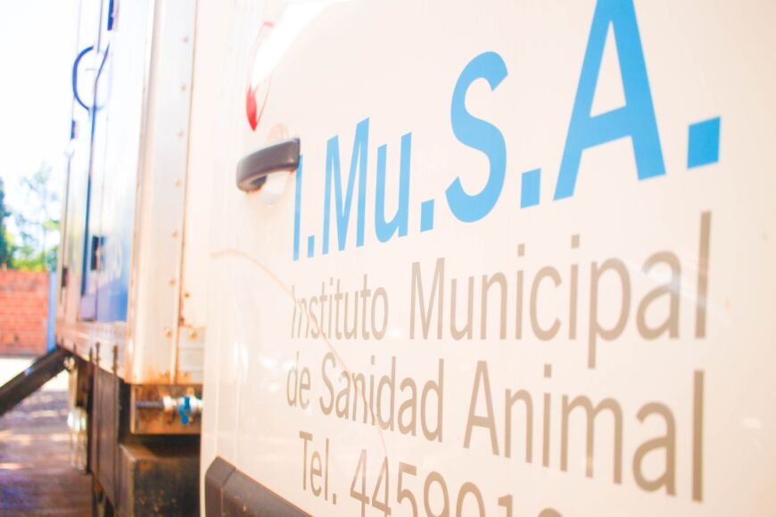 Este martes, el IMuSA continúa con los operativos de castraciones en los barrios posadeños 1 2 - imusa 1 1 - 1