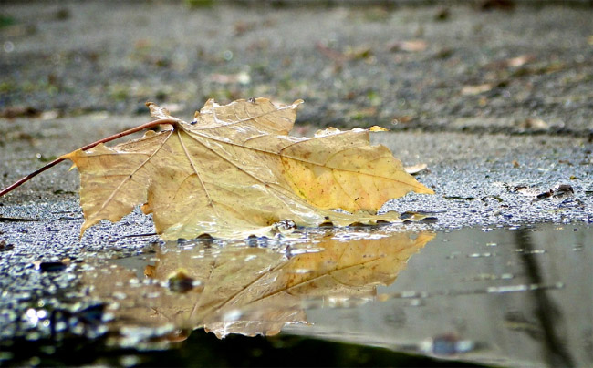El otoño se hará sentir: tras las lluvias, se esperan mañanas y noches frescas en Misiones