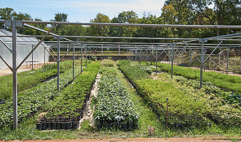 2021 04 14 restauracion ambiental 1 - 1