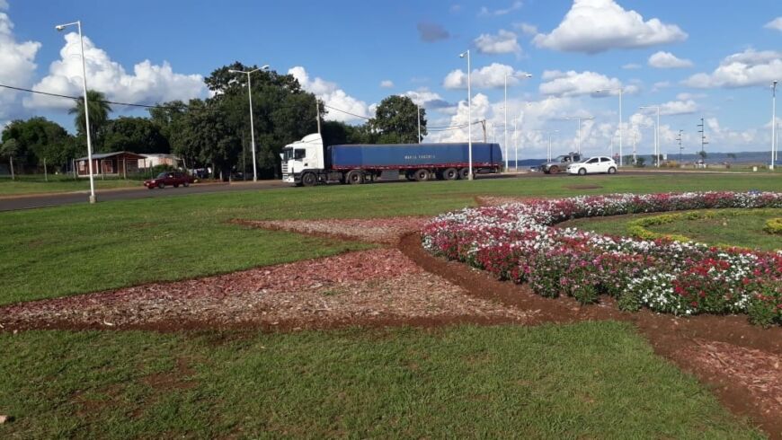 Colocacion de plantines - 1