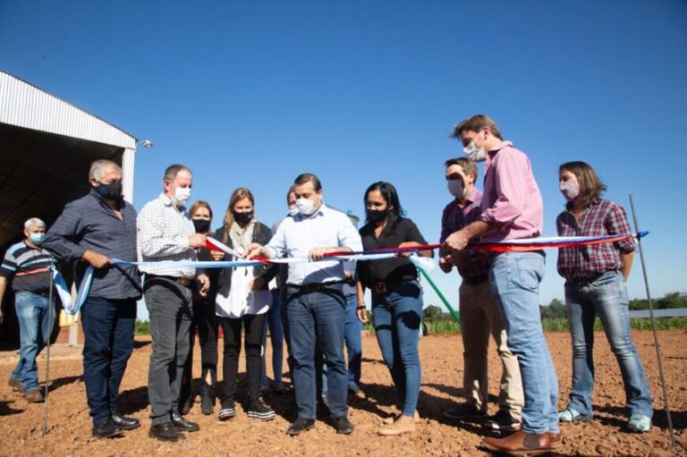 Inauguraron un centro de acopio y acondicionamiento de granos en Alba Posse