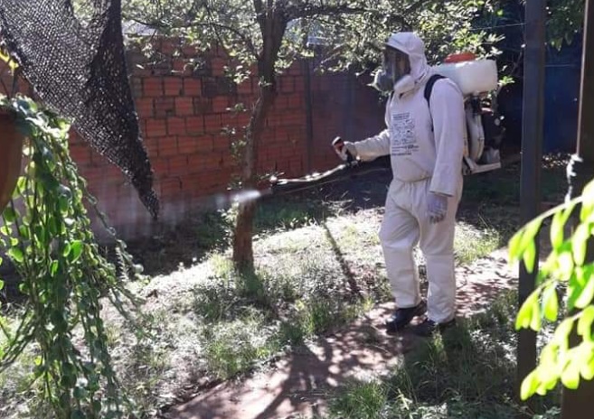 Lucha contra el dengue en Posadas: agentes refuerzan los operativos de prevención