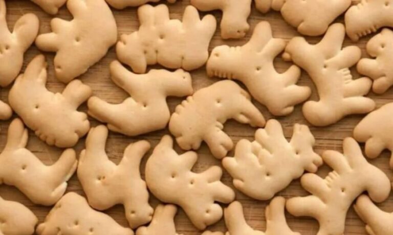 Asociación de veganos pide que se prohíban las galletitas con formas de animales