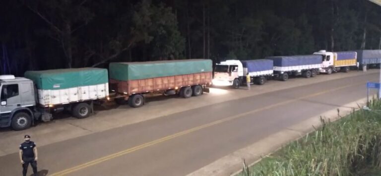 Retuvieron cinco camiones cargados con soja ilegal en San José