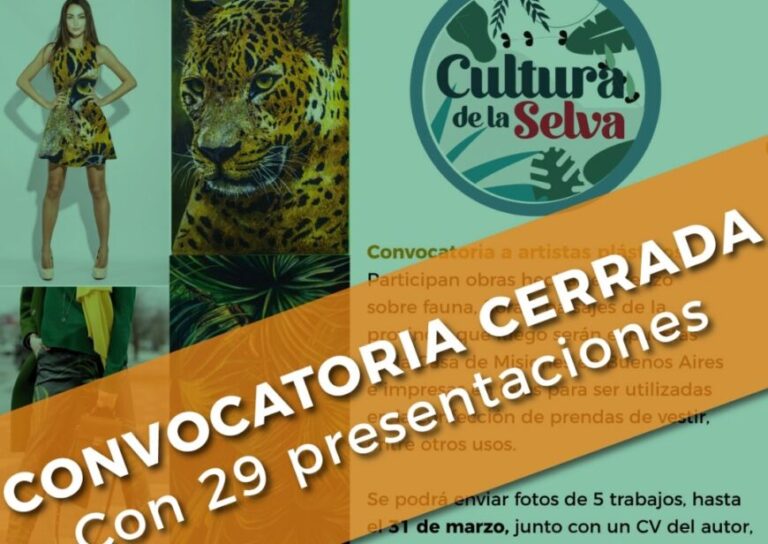 Casi 30 artistas presentaron propuestas a la convocatoria "Cultura de la Selva"