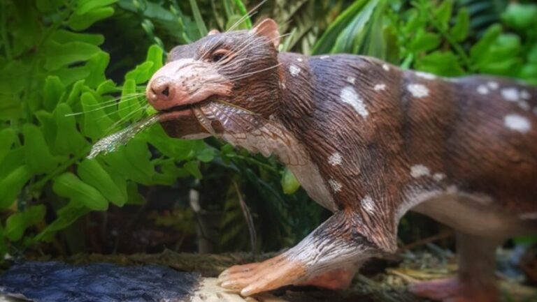 Científicos descubrieron un nuevo mamífero que habitó la Patagonia