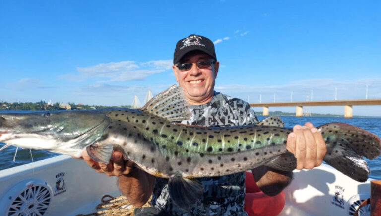 Río Paraná: pescaron un surubí de más de un metro y medio en Posadas