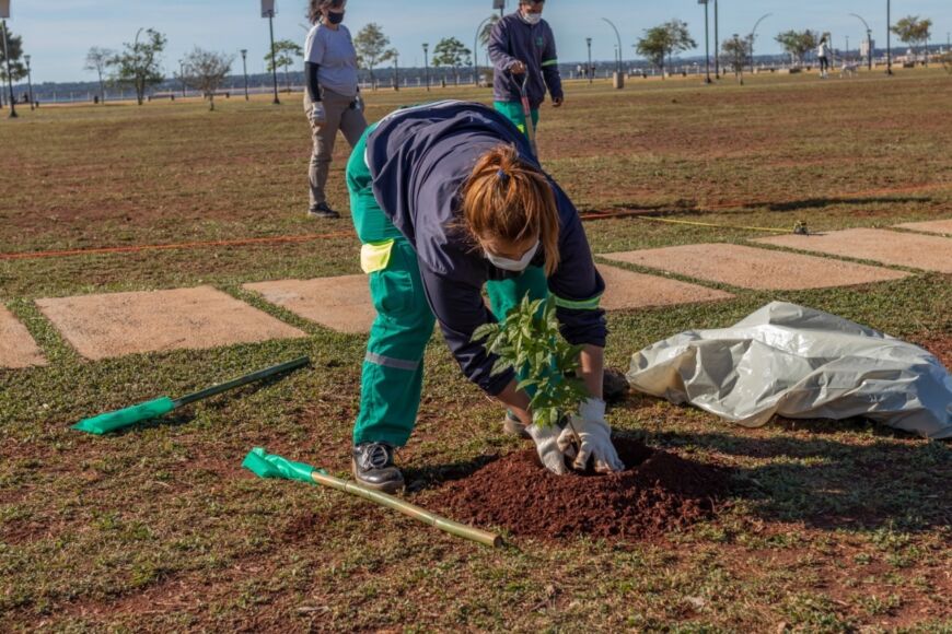 Plantaciones en Posadas 1 - 1