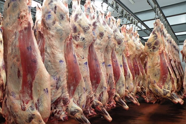 Rige la suspensión por 30 días para exportar carne bovina