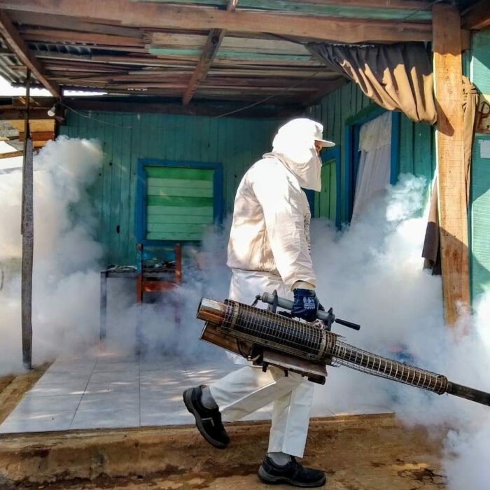 En Posadas, el 40% de los pacientes con dengue tuvo criadero de Aedes aegypti en su hogar