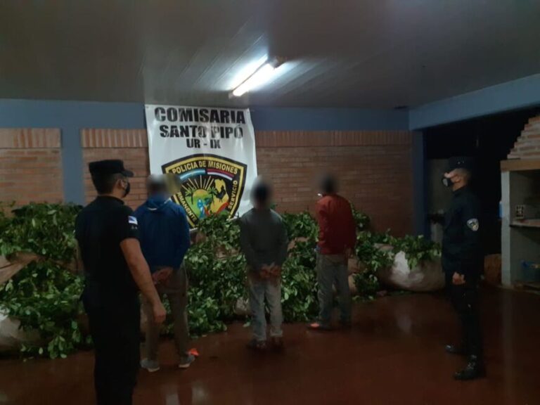 Detuvieron a 4 personas y frustraron robos de yerba mate en Santo Pipó y San Pedro