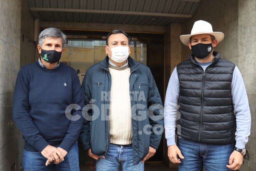 Establecieron mecanismos para la distribución equitativa de nuevas plantaciones de yerba mate