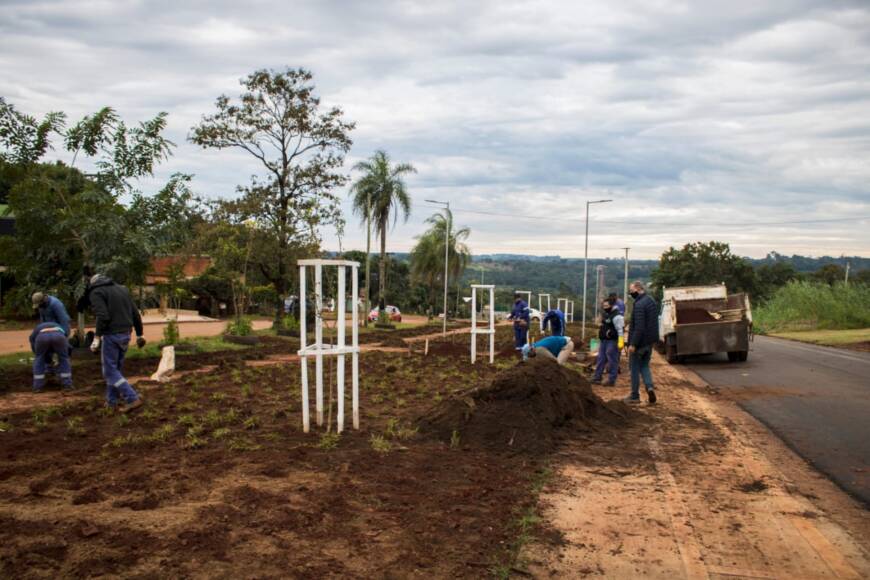 Realizan tareas de parquización en avenida Picada Vieja de Oberá