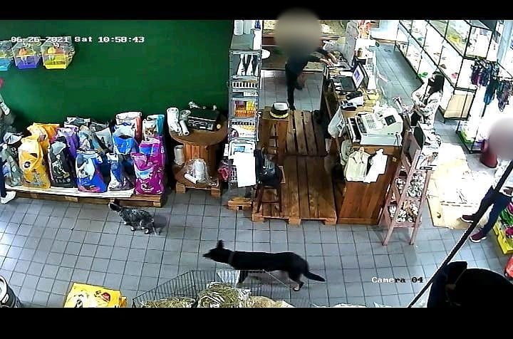 Rob en modo mechero - 1