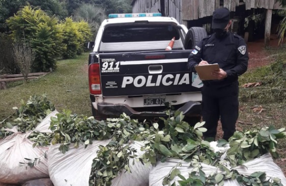 Policías evitaron robo de yerba mate en una chacra de San Vicente