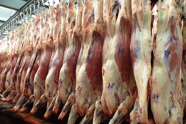 Nación presenta hoy el nuevo esquema para la exportación de carne