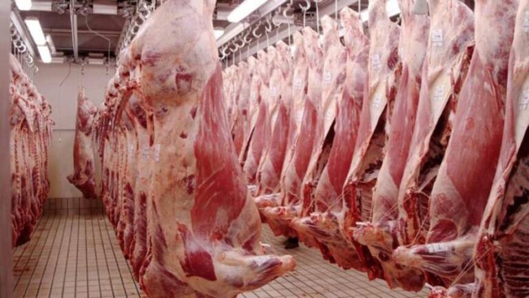 El Gobierno nacional prohibió exportar hasta fin de año siete cortes de carne