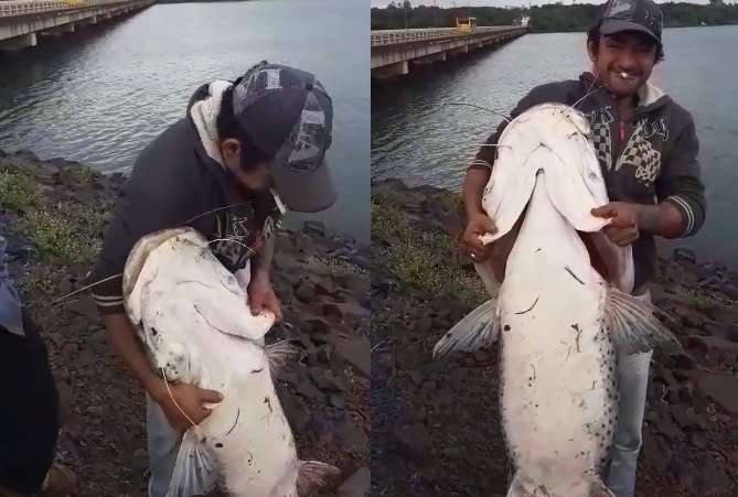 Costanera posadeña: pescaron un surubí gigante y lo captaron en video