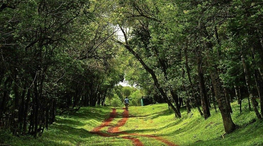 Este miércoles comienza el Congreso Internacional sobre el Cambio Climático y Biodiversidad