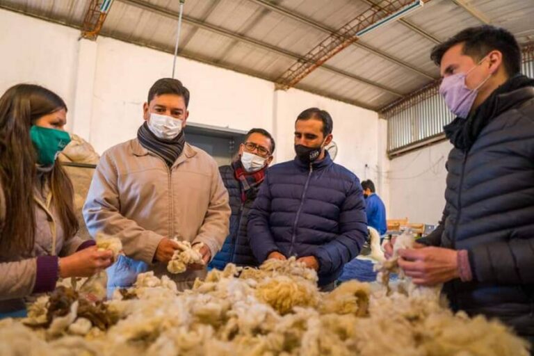 Entregaron suplementos forrajeros a productores ovinos de Profundidad
