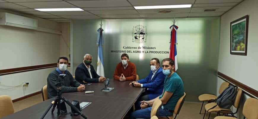 Realizarán nuevo mapa de la forestoindustria misionera para dirigir políticas públicas