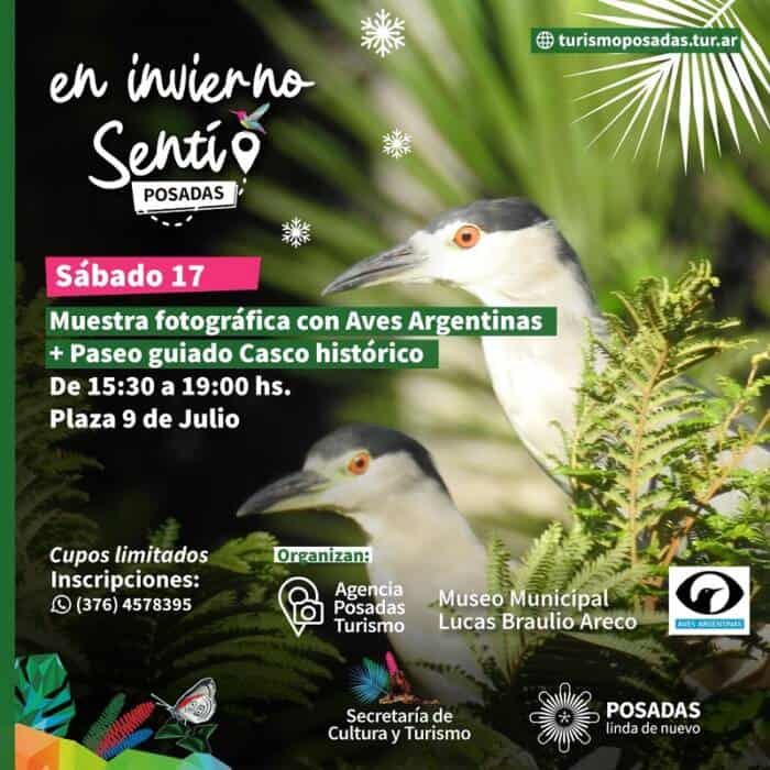 Sentí Posadas: distintas propuestas en estas vacaciones de invierno 1 2 - senti posadas 1 - 1