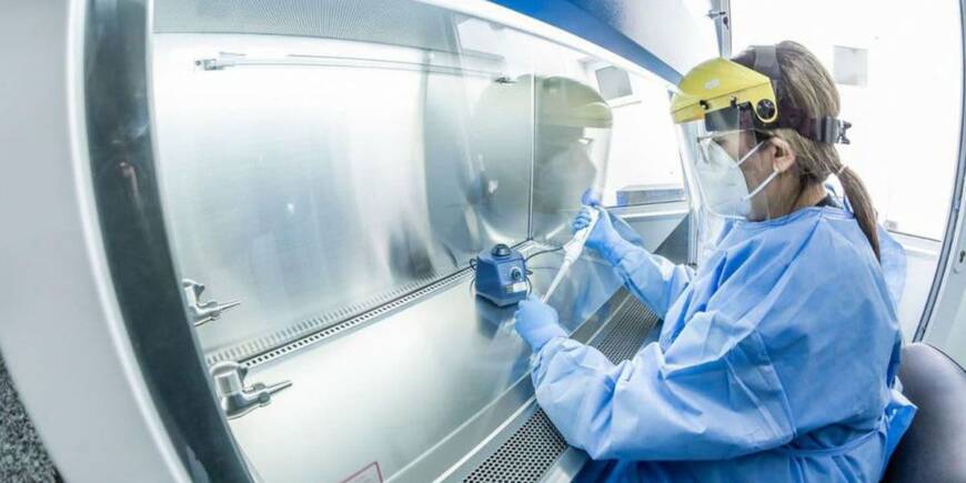 Epsilon, la variante del coronavirus que ya fue detectada en Argentina