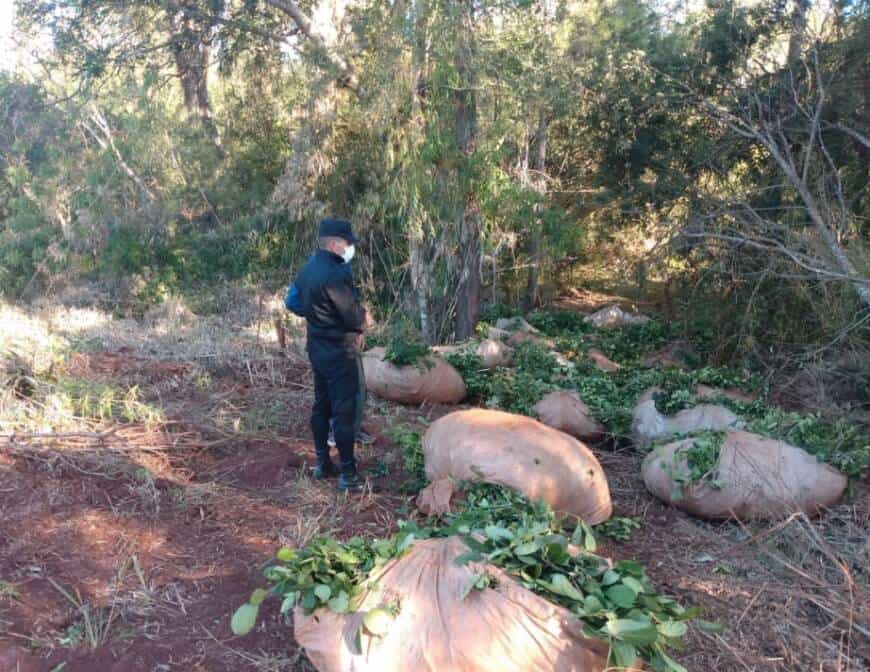 Detuvieron a dos hombres en pleno robo de yerba mate en Puerto Libertad