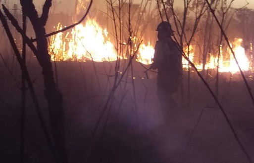 Continúan los intensos trabajos para combatir incendios en la Misiones