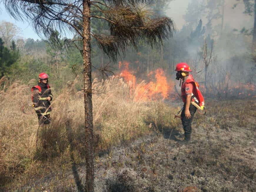 Misiones: más de 200 hectáreas del campo San Juan fueron afectadas por los incendios, según estudio