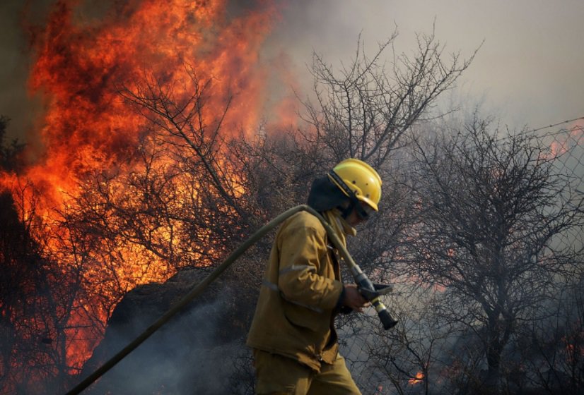 Incendios en Misiones: “La situación es preocupante y se aplicarán severas multas”, advirtió Vialey