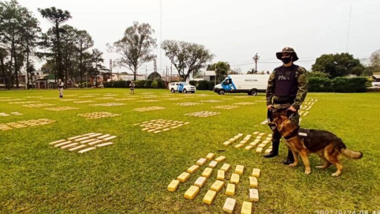 Nuevo golpe al narcotráfico, esta vez en Iguazú: incautaron una tonelada de marihuana valuada en más de $100 millones