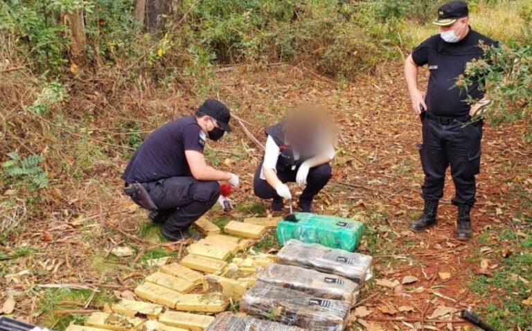 Policías decomisaron más de 100 kilos de marihuana en un eucaliptal de Oberá