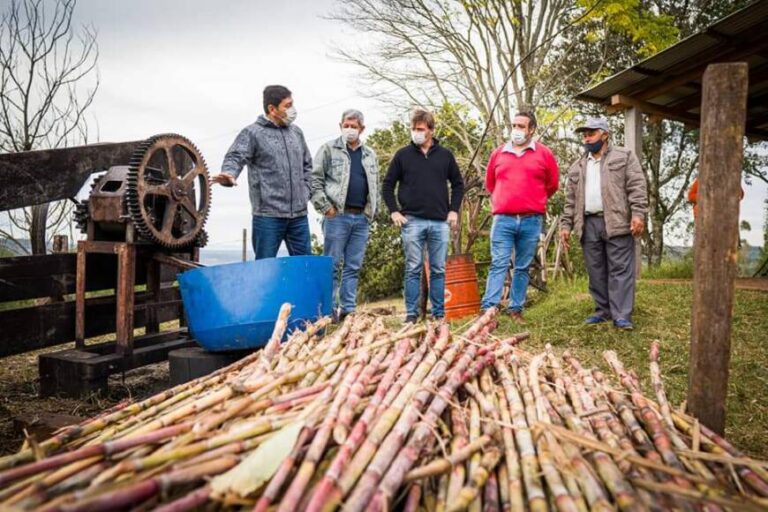 Entregaron materiales de construcción a productores de azúcar rubio en Itacaruaré y San Javier