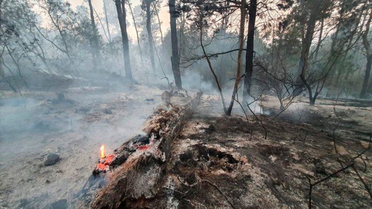 Montes, casas y cabañas arrasados: así quedó Córdoba tras los incendios 1 2 - incedios cordoba 2 - 1