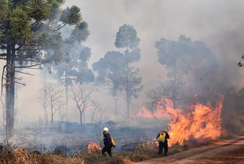 Alertan por el índice de peligrosidad de incendios “extremo” en Misiones