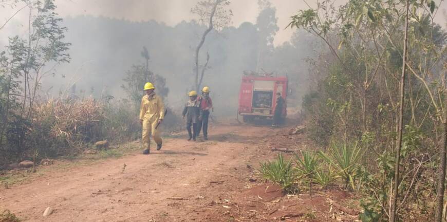 Más de 50 incendios fueron sofocados durante el fin de semana en Misiones 1 2 - incendios 1 - 1