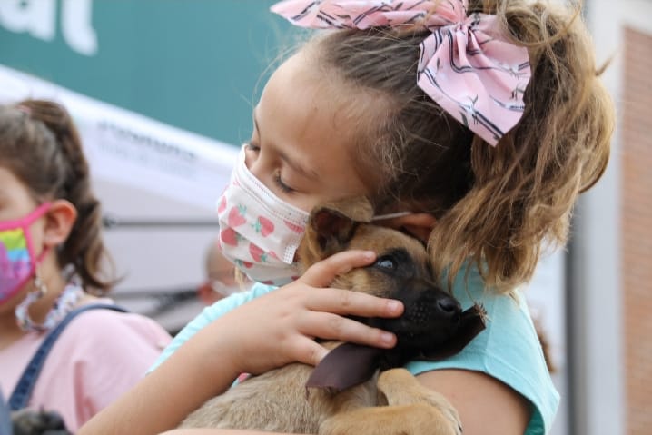 Adopción responsable en Posadas: 20 mascotas encontraron una nueva familia