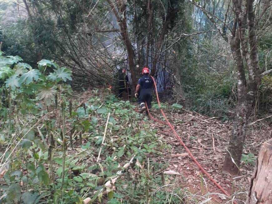 Operativo rural terminó con 29 vehículos retenidos y 9 personas detenidas 3 6 - operativo 4 - 5